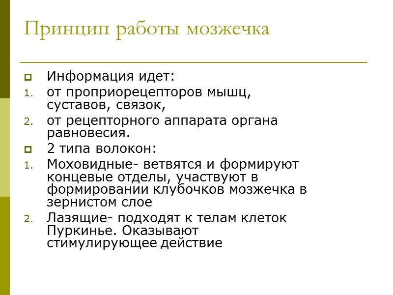 Принцип работы мозжечка Информация идет: от проприорецепторов мышц, суставов, связок, от рецепторного аппарата органа